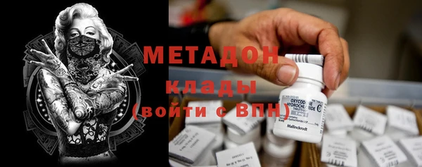 прущие грибы Беломорск