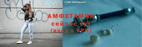 прущие грибы Беломорск