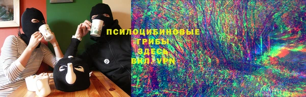 прущие грибы Беломорск