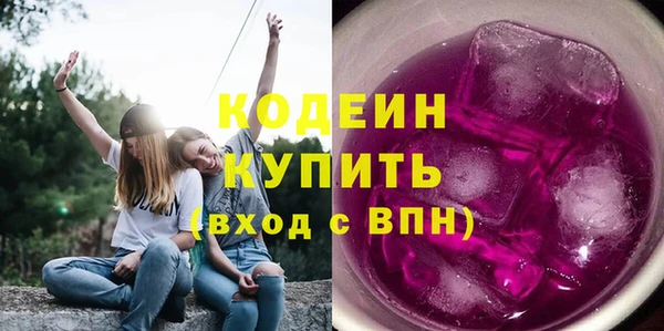 прущие грибы Беломорск