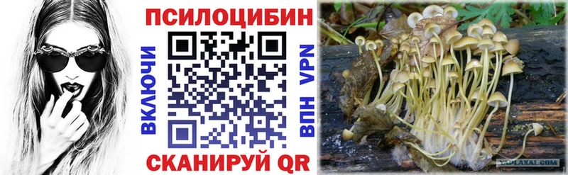 Псилоцибиновые грибы Magic Shrooms это какой сайт Боготол